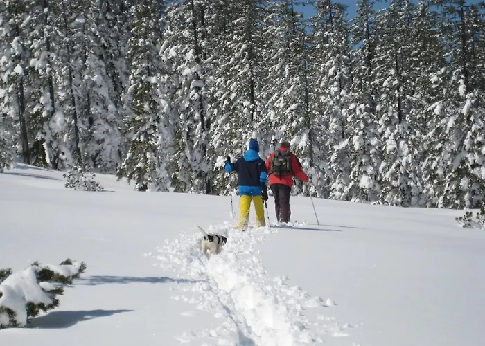 Studio * מריה אלם אם שטיינרנן מיר