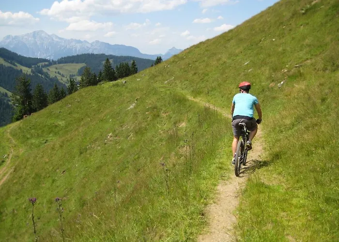 Lejlighed Studio Maria Alm am Steinernen Meer