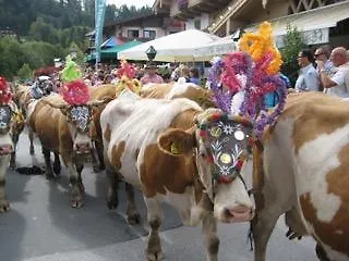 Studio Maria Alm am Steinernen Meer